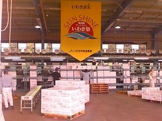 sq_1234a8f6d9f.jpg