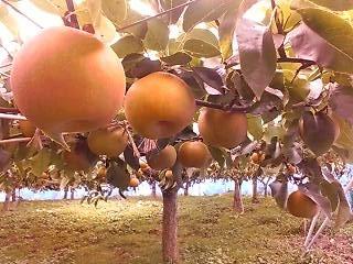 !cid_01@090907.094657@_____D904i@docomo.ne[1]
