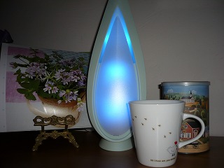 P1000337.jpg