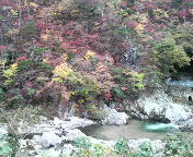 2009102508420000.jpg