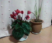 2009121519330000.jpg