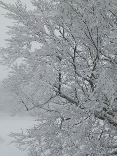 100129_1047~02.jpg