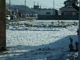 P1000535.jpg