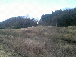 2010012915390000.jpg