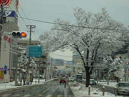 P1000564.jpg