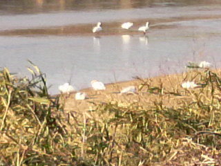 2010022415400000.jpg