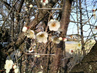 2010022415350001.jpg