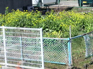2010032711220000.jpg