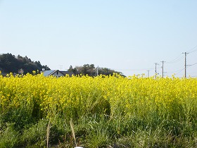 P1000660.jpg