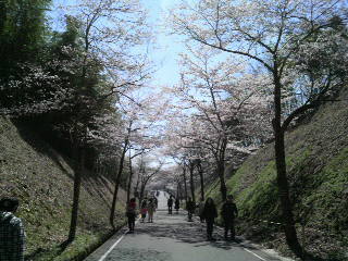2010042513320000.jpg