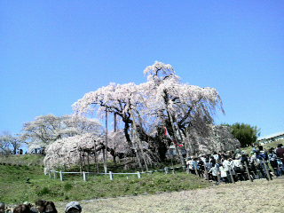 2010042512460001.jpg