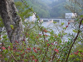 P1000682.jpg