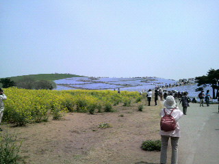 2010050510310000.jpg