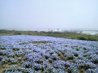 2010050510440000.jpg