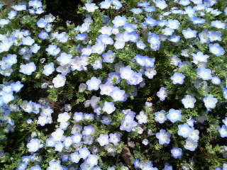 2010050510350000.jpg