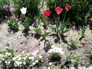 2010050911240000.jpg