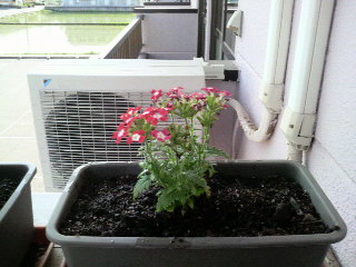2010052515290002.jpg