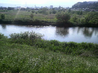 2010053015550000.jpg