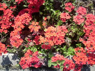 2010053015590000.jpg
