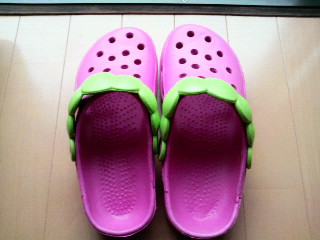 2010052911320000.jpg