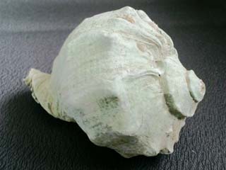 CA3C0825.JPG