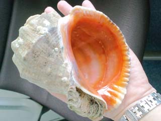 CA3C0827.JPG