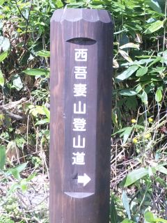 100910_1316~01.jpg