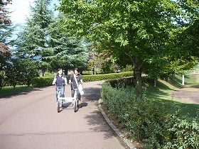P1010294.jpg