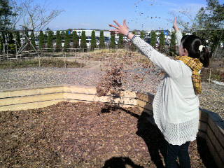 2010112911330000.jpg