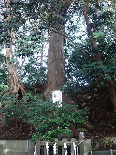画像 230.jpg