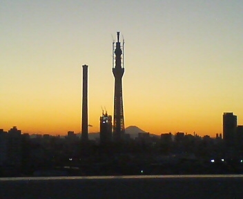 20110107165509.JPG
