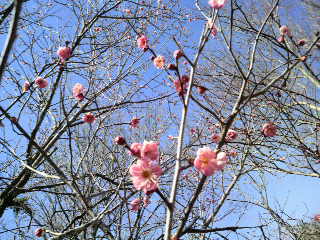 2011011711380000.jpg