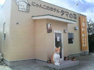 2011013111390000.jpg