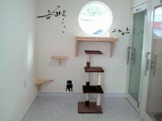 2011013111350002.jpg