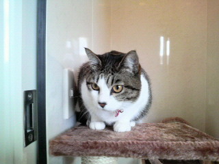 2011013111350001.jpg
