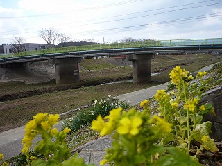 P1010894.jpg