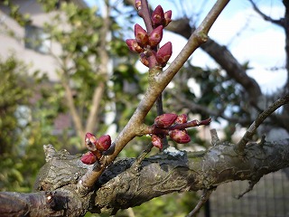 P1010908.jpg