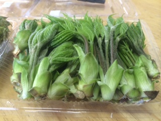 山菜２.JPG
