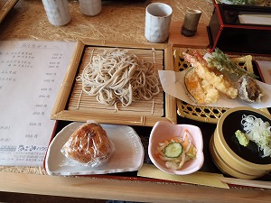 P4180224.jpg